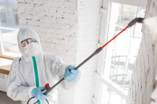 Best Environmental Consulting for Mold Prevention  in Friona, TX