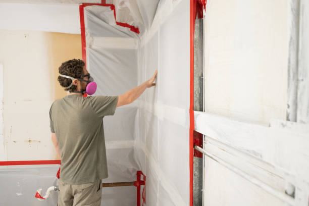  Friona, TX Mold Removal Pros