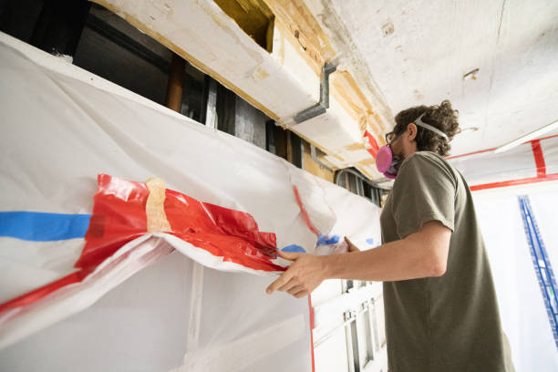 Best Real Estate Mold Inspection  in Friona, TX