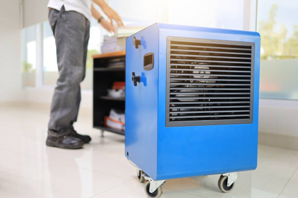 Best Airborne Mold Testing  in Friona, TX